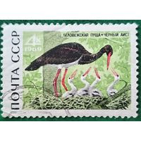 СССР 1969. Чёрный аист. Марка из серии