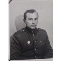 Фото в коллекцию