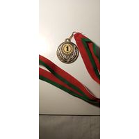 Медаль  Спартакиада АП РБ 2013 Золото