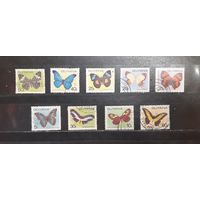 Гайана. Фауна. Бабочки (1453)