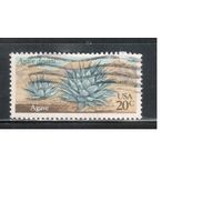 США-1981, (Мих.1518) ,  гаш.  ,Флора, Кактусы
