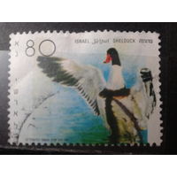 Израиль 1989, Утка. Михель 2 евро гаш.