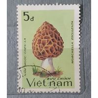 Вьетнам грибы 1шт