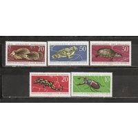 ФФ1 ГДР 1963 Фауна
