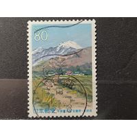 Япония, 2000. Пейзаж города Адзумино. Живопись