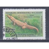 [865] Мадагаскар 1987. Фауна.Рептилии.Крокодил. Гашеная марка.