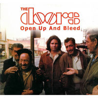 The Doors, Open Up And Bleed, LP 2005