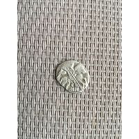 Чешуйка2 с рубля