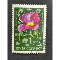 1974 СССР. Цветы альпийских лугов Центральной Азии. Пион средний
