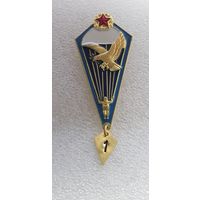 Парашютист ВВС Беларусь*