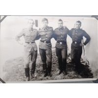 Фото в коллекцию