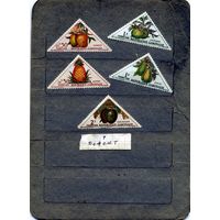 ГАБОН,  ПЛОДЫ   , 5м чистая