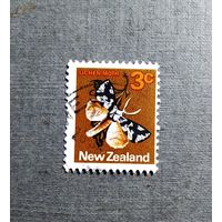 Марка Новая Зеландия 1970 год Бабочка