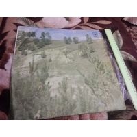 С Новым Годом !!!