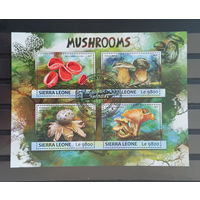 ЛИСТ ФЛОРА ЦВЕТЫ ГРИБЫ  СТО