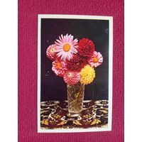 С Праздником! Стейнерт 1977 г. Чистая.