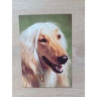 Календарик 1991