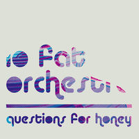 LO FAT ORCHESTRA - Questions for honey 2009, LP