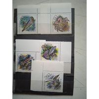 Фауна россии