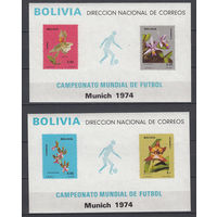 Флора. Цветы. Спорт. Футбол. Боливия. 1974. 2 блока. Michel N бл38-39 (120,0 е).