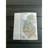 Сомали 2000 Анемоны