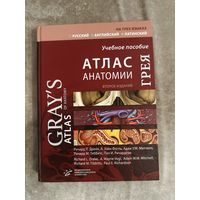 Атлас Анатомии Грея