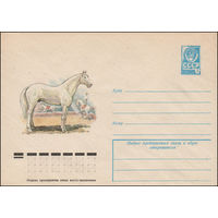 Художественный маркированный конверт СССР N 12433 (04.11.1977) Лошадь терской породы