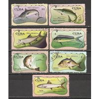 ФФ1 Куба Рыбы гаш