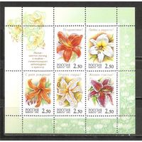 ФФ1 Россия 2002 Цветы